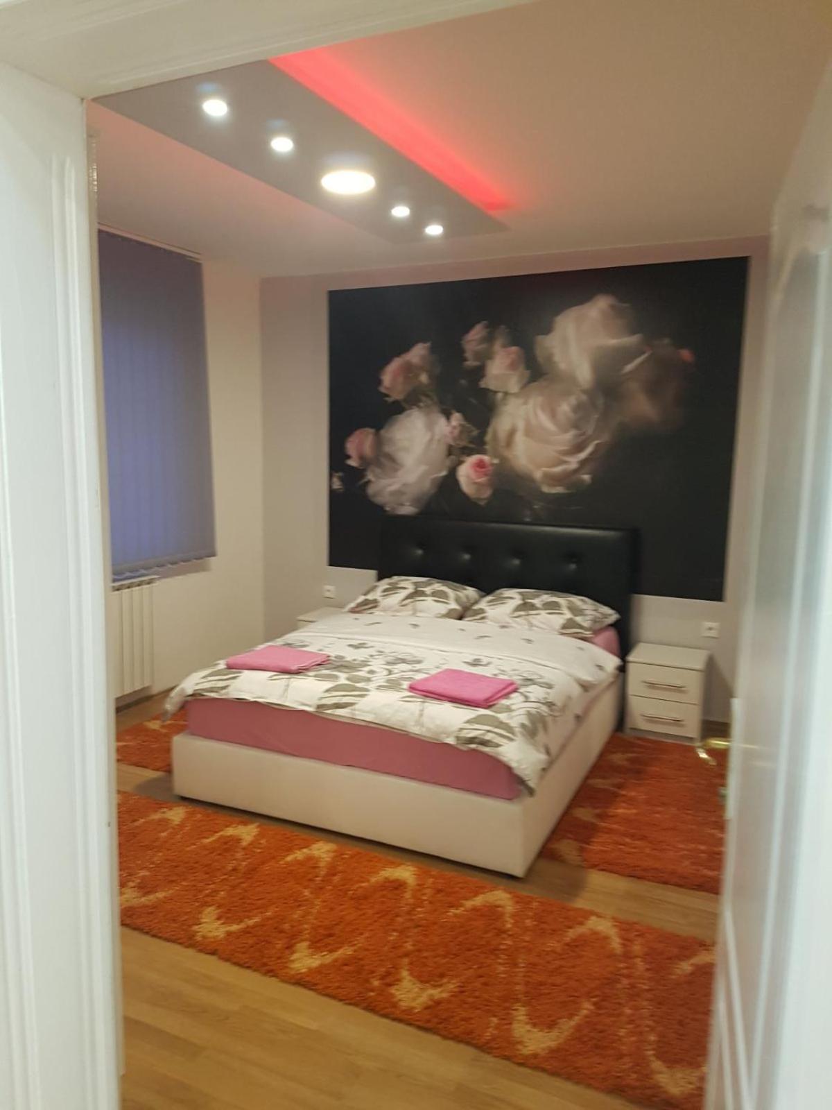 Apartment Aleksandar, Bn Centar